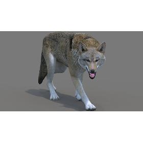 Red Wolf Rigged 3D model